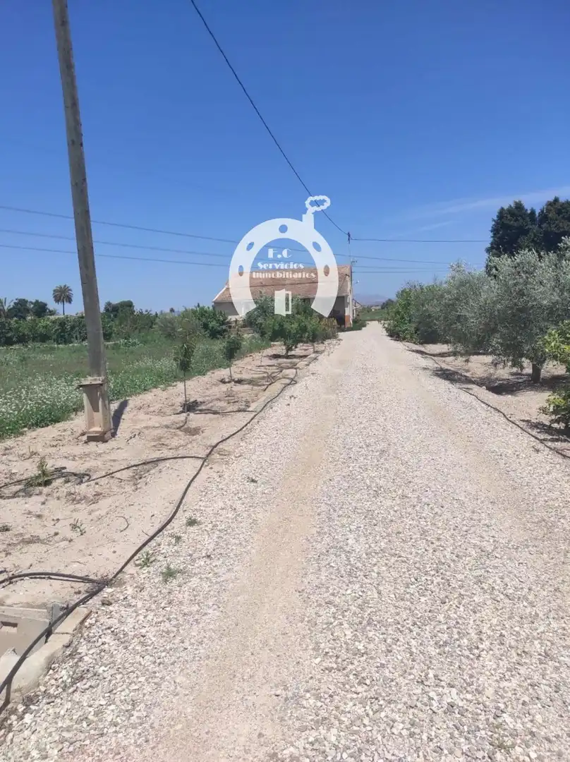 Casa o xalet en venda en Elche / Elx amb Terrassa