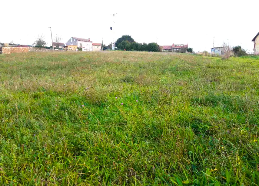 Residential land for sale in BOLADO, imagen 7