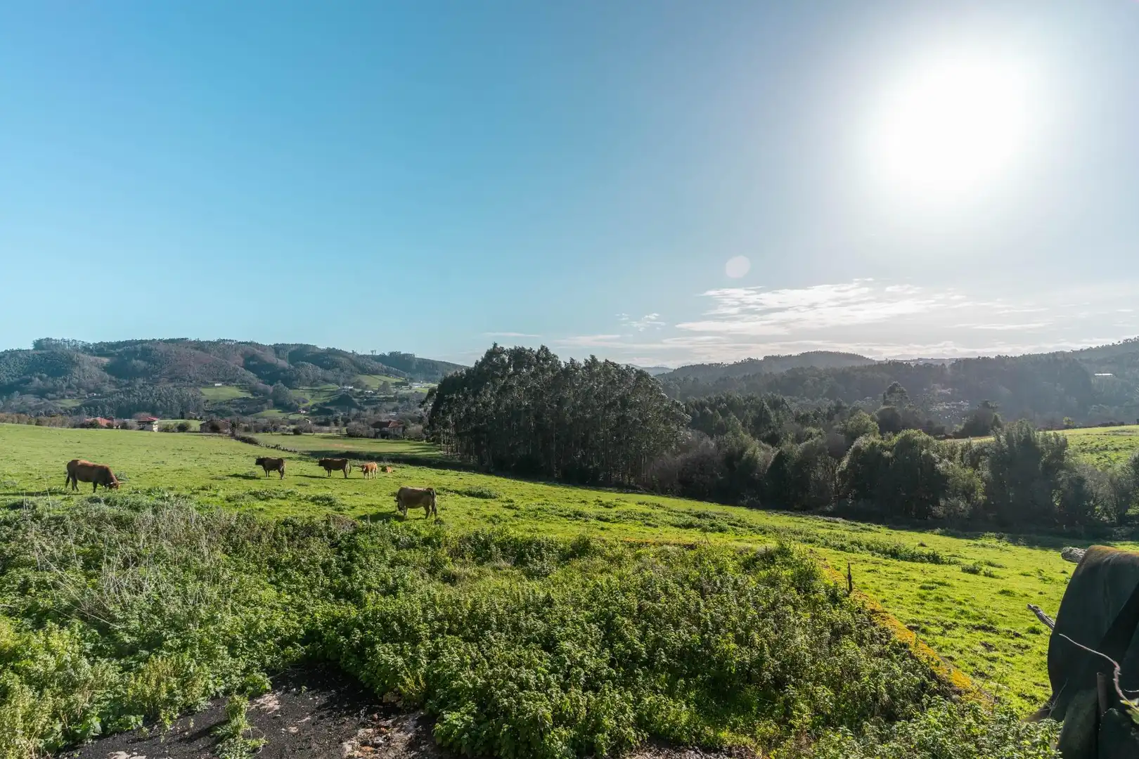 Vista exterior de Casa o chalet en venta en Carreño con Calefacción, Jardín privado y Trastero