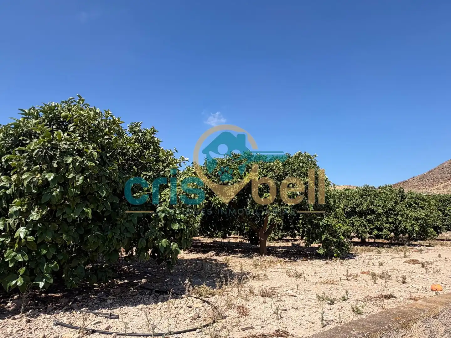 Casa o chalet en venta en Lorca con Aire acondicionado, Calefacción y Jardín privado