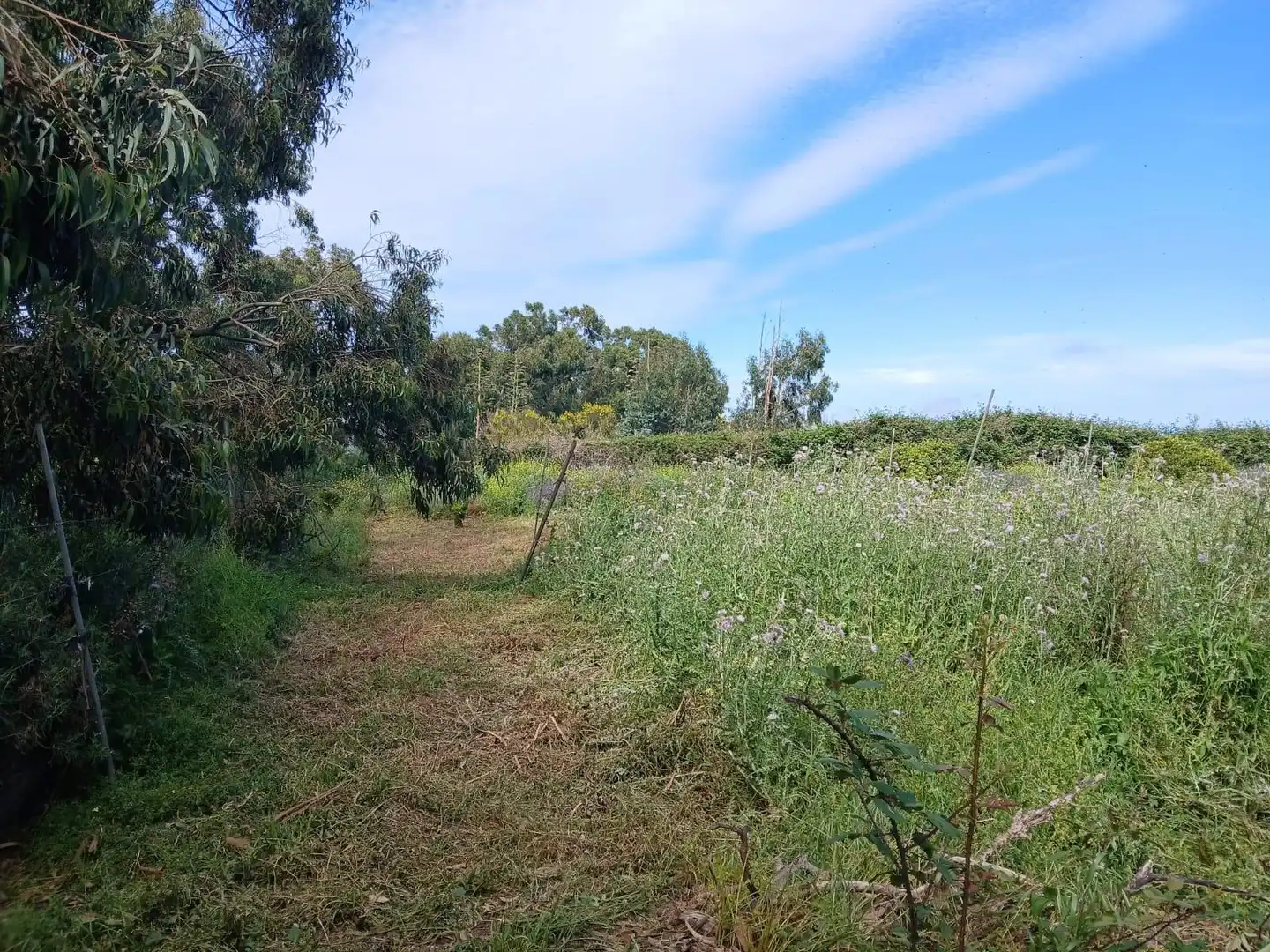 Finca rústica en venta en El Rosario con Jardín privado, Terraza y Alarma