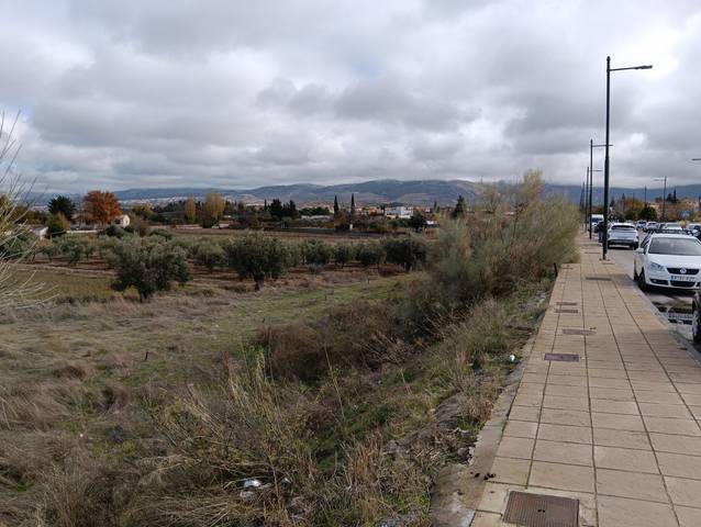 Terreno residencial en Venta en Villa de Otura