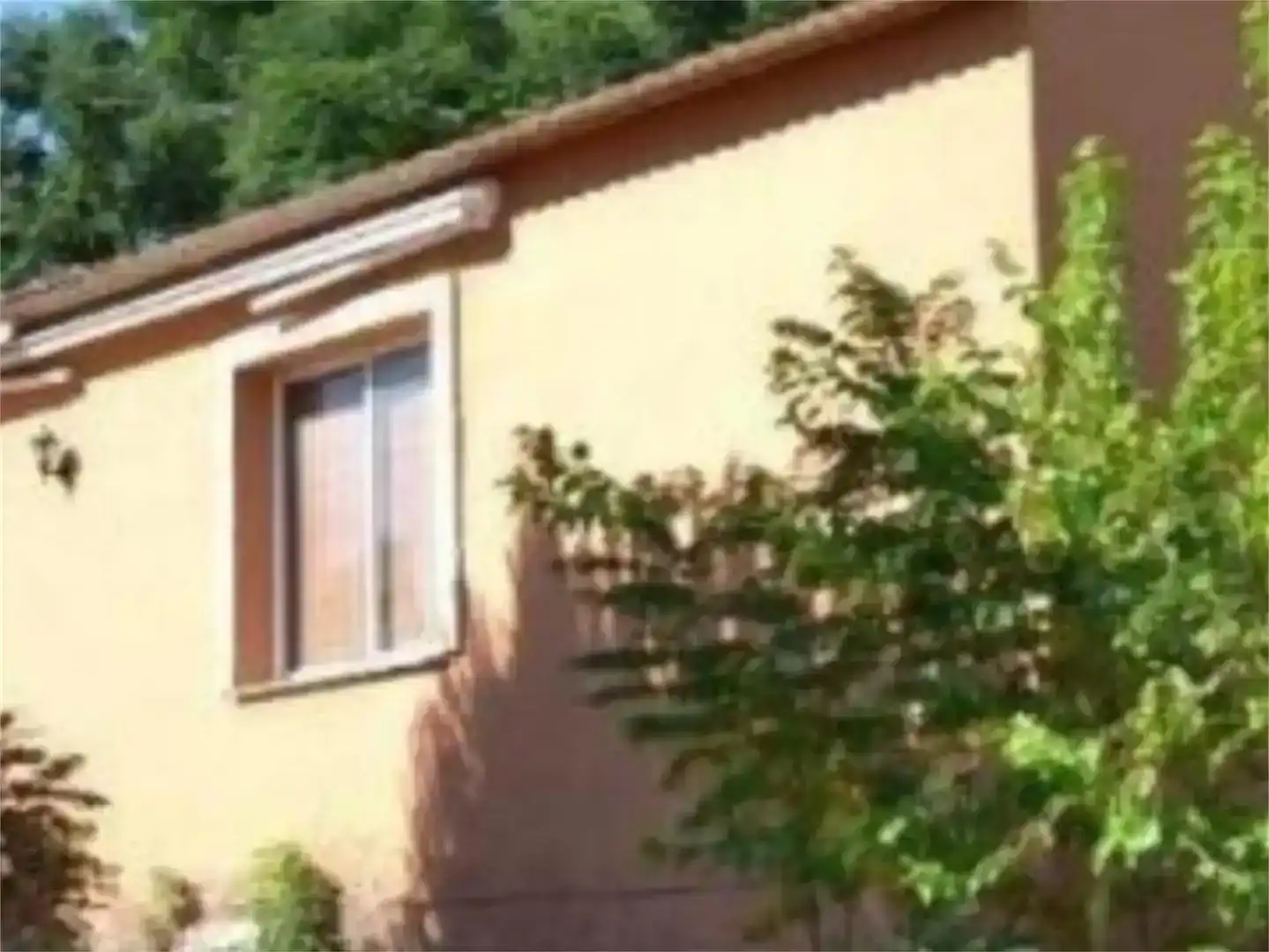 Vista exterior de Finca rústica en venta en Peñaflor