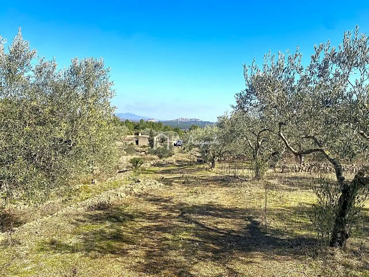 Terrain rustique à vendre à Calobres, imagen 7