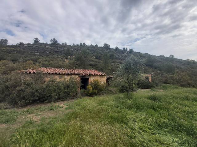 Finca rústica en Venta en Seròs