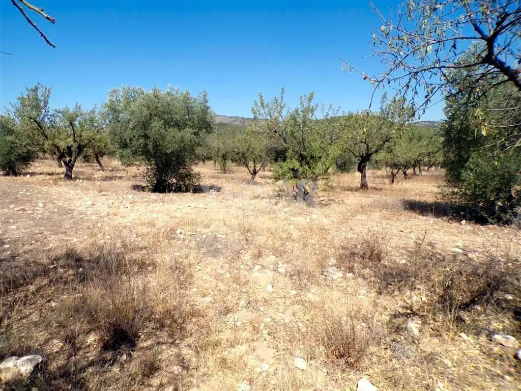 Terreny rústic en venda a Castalla