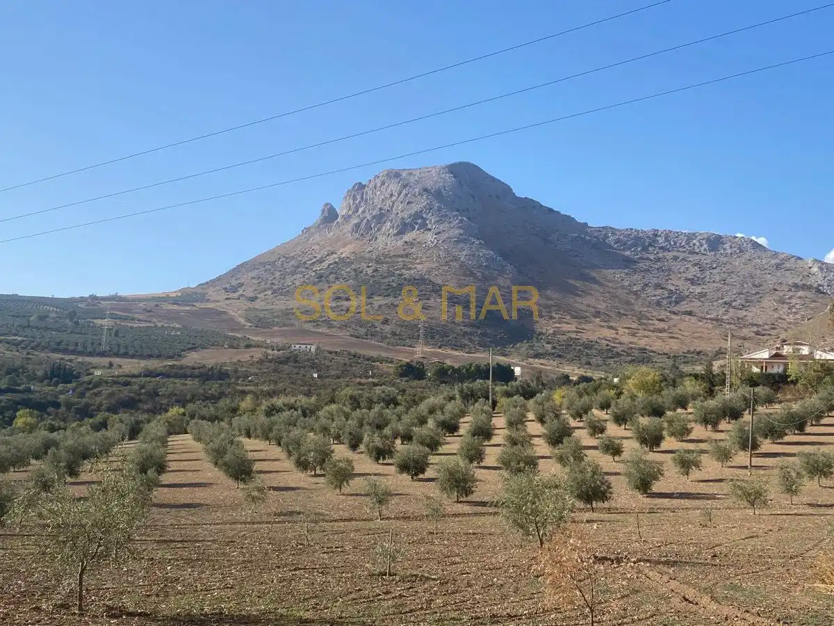 Finca rústica en venda en Antequera