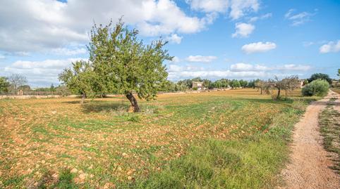 Photo 2 of Country house for sale in L'Olivera, Illes Balears