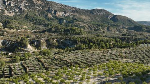 Photo 3 of Land for sale in Lugar Diseminados, 31, Balones, Alicante