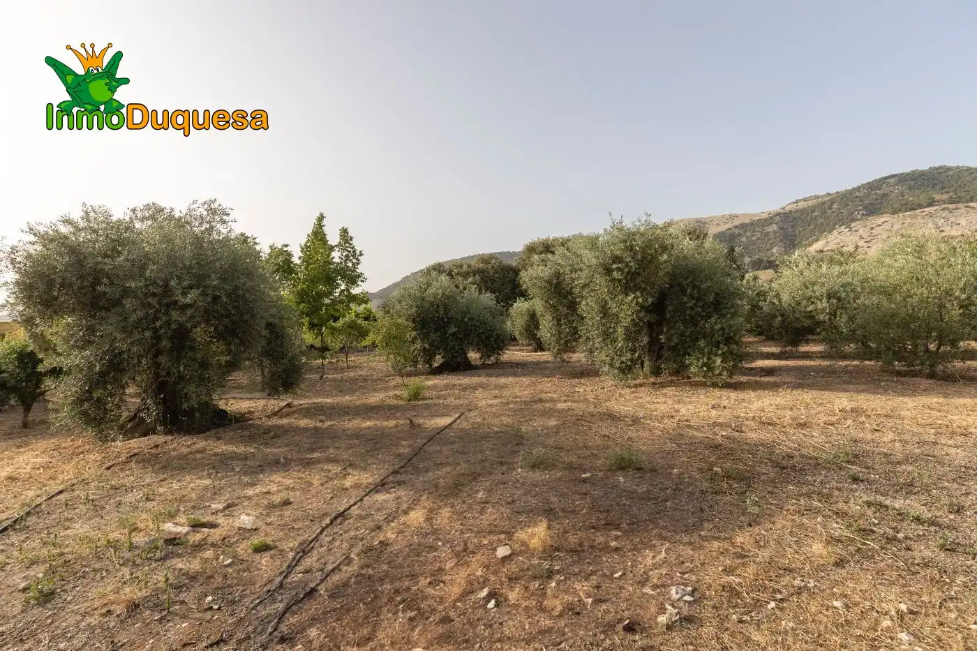 Chalet con terraza en venta en Víznar, imagen 76