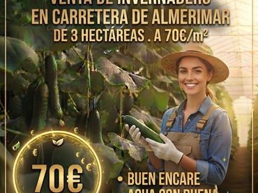 Terreny rústic en venda a Carretera de Almerimar 12