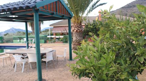 Photo 3 of House or chalet for sale in Calle Castillo, 7, Sax, Alicante