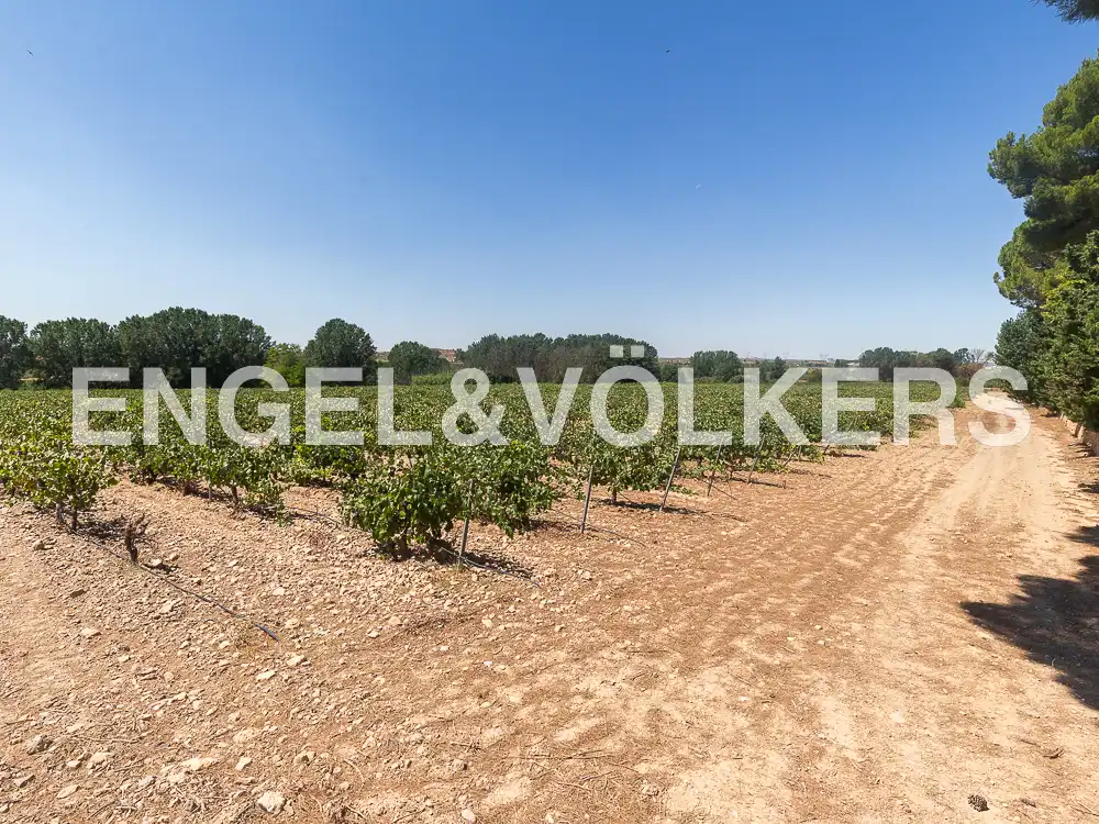 Houses for sale in Requena  with Heating, Private garden and Terrace