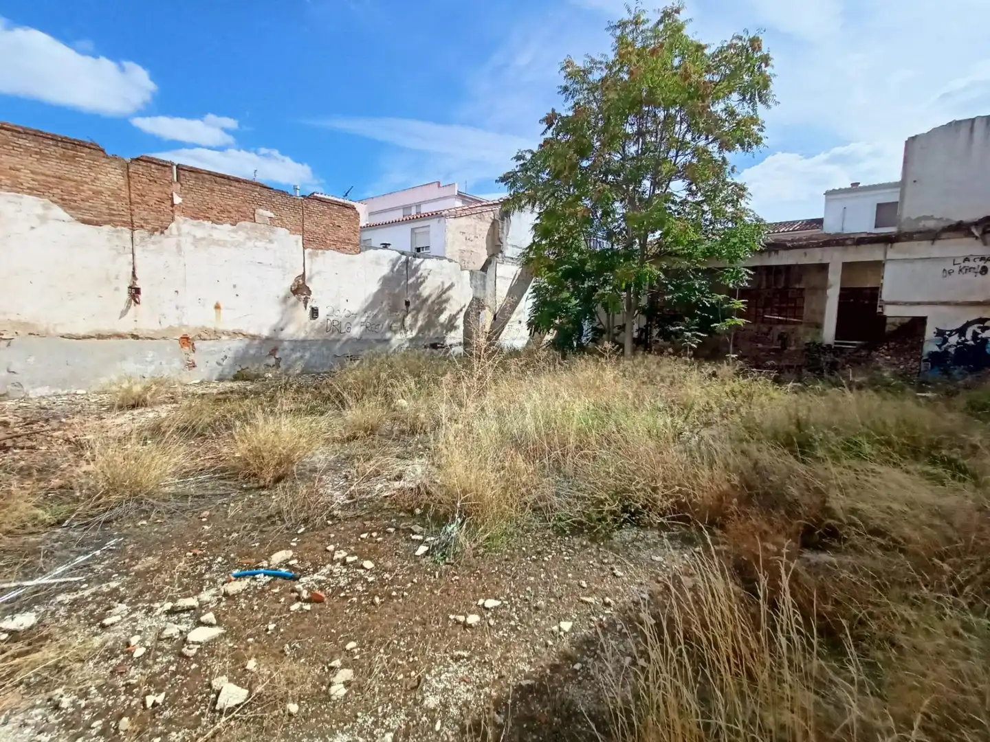 Terreni e lotti in vendita a Casco Antiguo, imagen 6