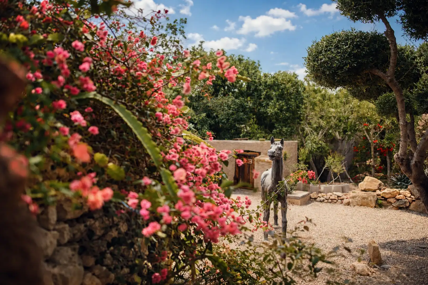 Garden of Country homes for sale in Níjar  with Air Conditioner, Private garden and Terrace