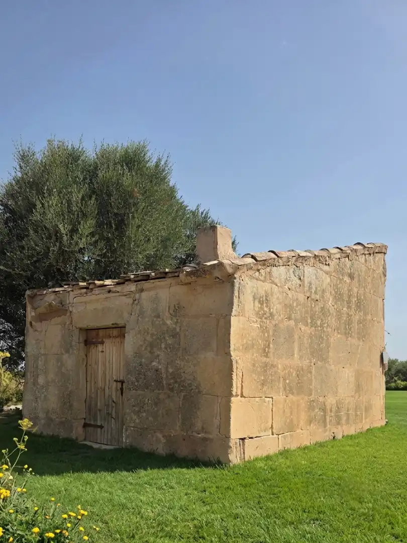 Exterior view of Land for sale in Porreres