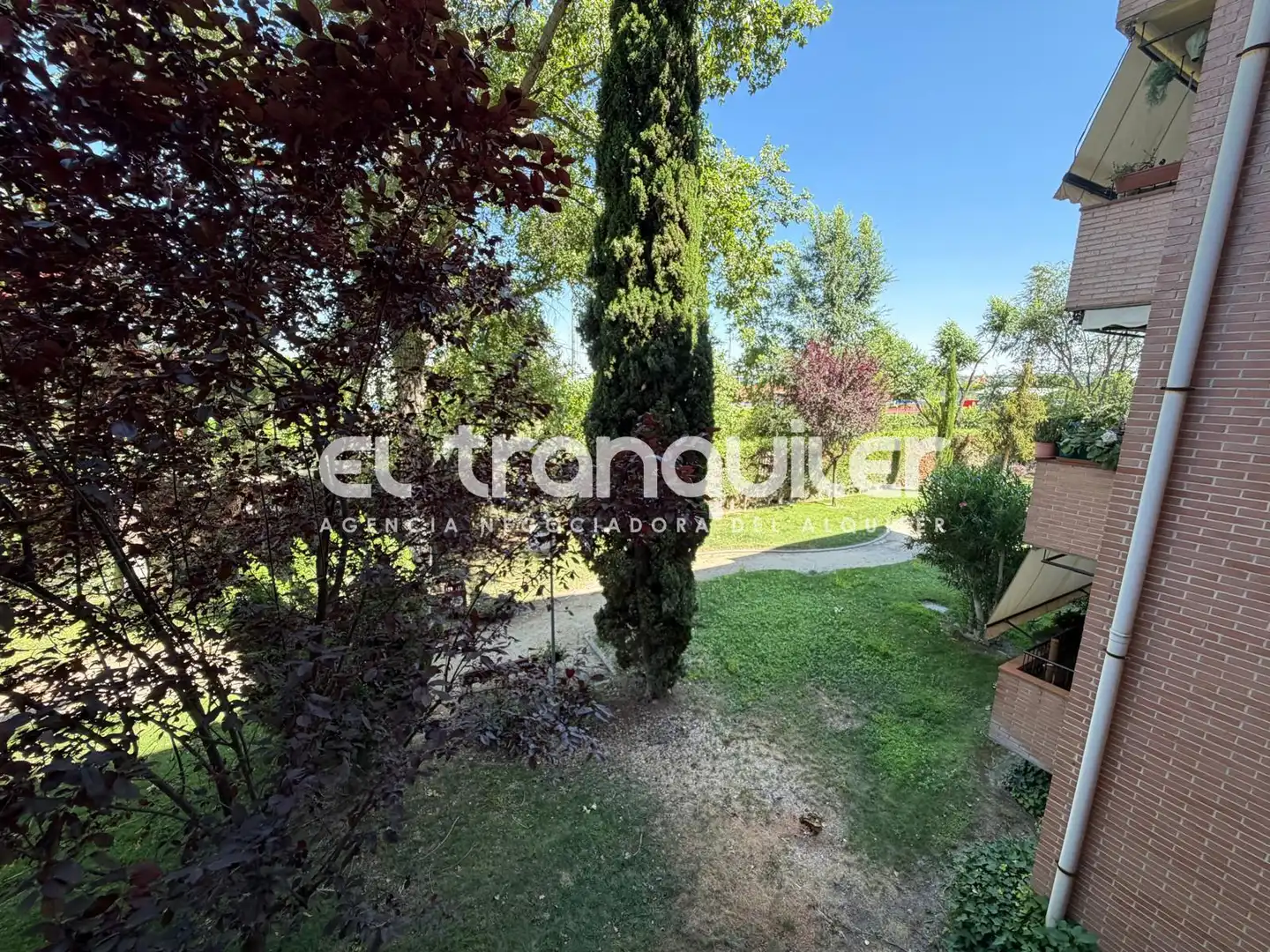 Flat for rent in Madrid  with Parquet flooring, Terrace and Swimming Pool