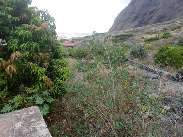 Terreno en Venta en  Polígono 26 Parcela 61 PEDRERO. FRONTERA (S.C. TE en Frontera