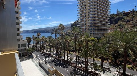 Foto 2 de Estudi de lloguer a Zona Martiánez, Puerto de la Cruz