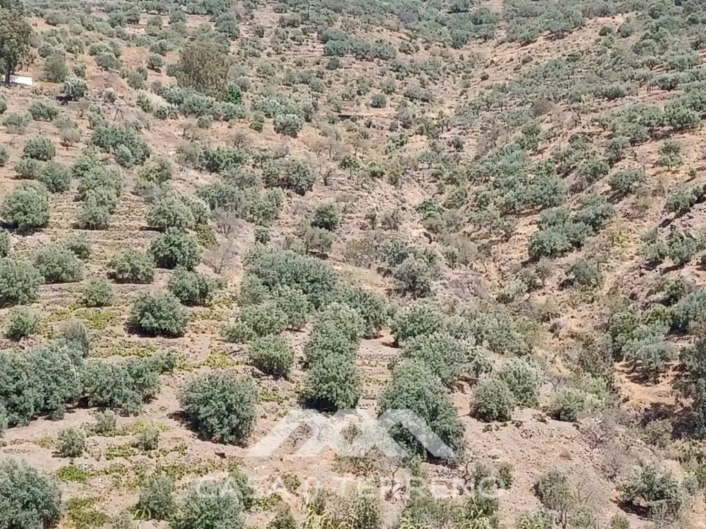 Grundstücke zum Verkauf in Arenas