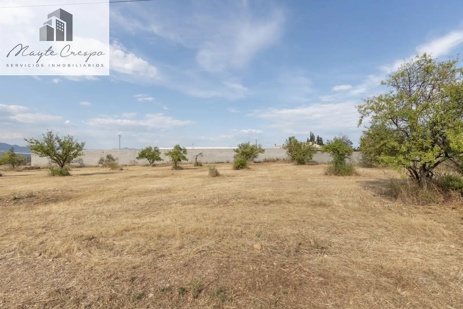 Rural land for sale in Moraleda de Zafayona, imagen 11