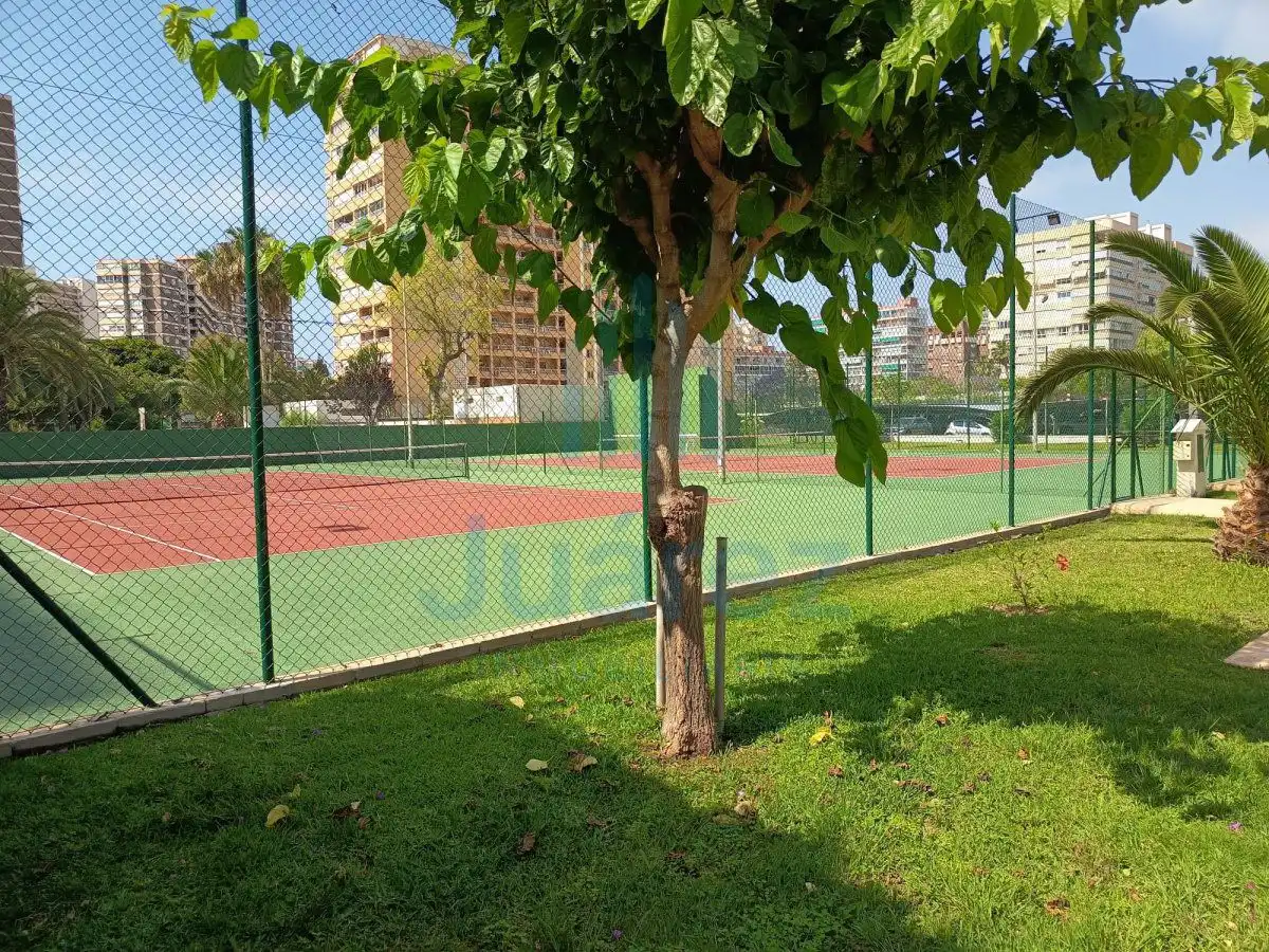 Jardín de Piso de alquiler en Alicante / Alacant con Aire acondicionado, Calefacción y Parquet