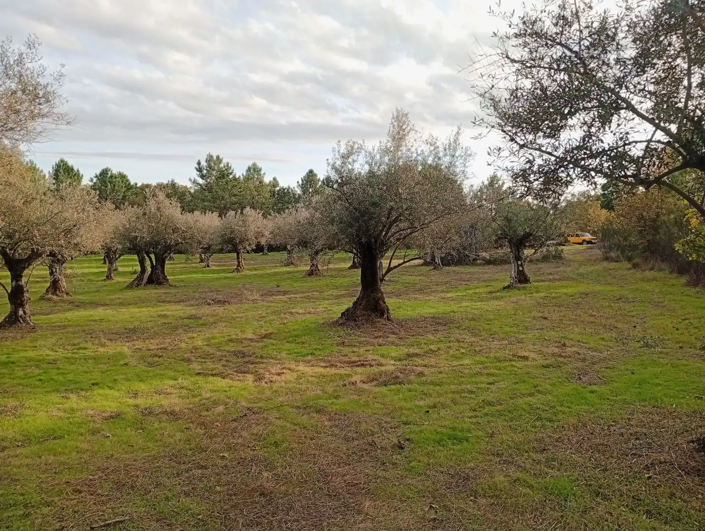 Terreni e lotti in vendita a Villanueva de la Vera, imagen 9