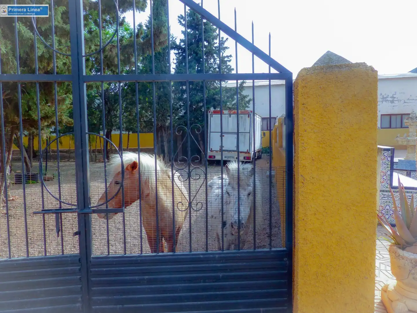 Vista exterior de Finca rústica en venda en Fuente Álamo de Murcia amb Calefacció, Jardí privat i Terrassa