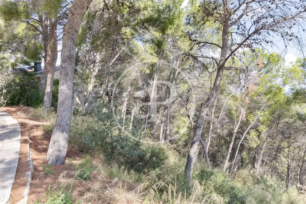 Terreno residenziale in vendita a El Bosque, imagen 9
