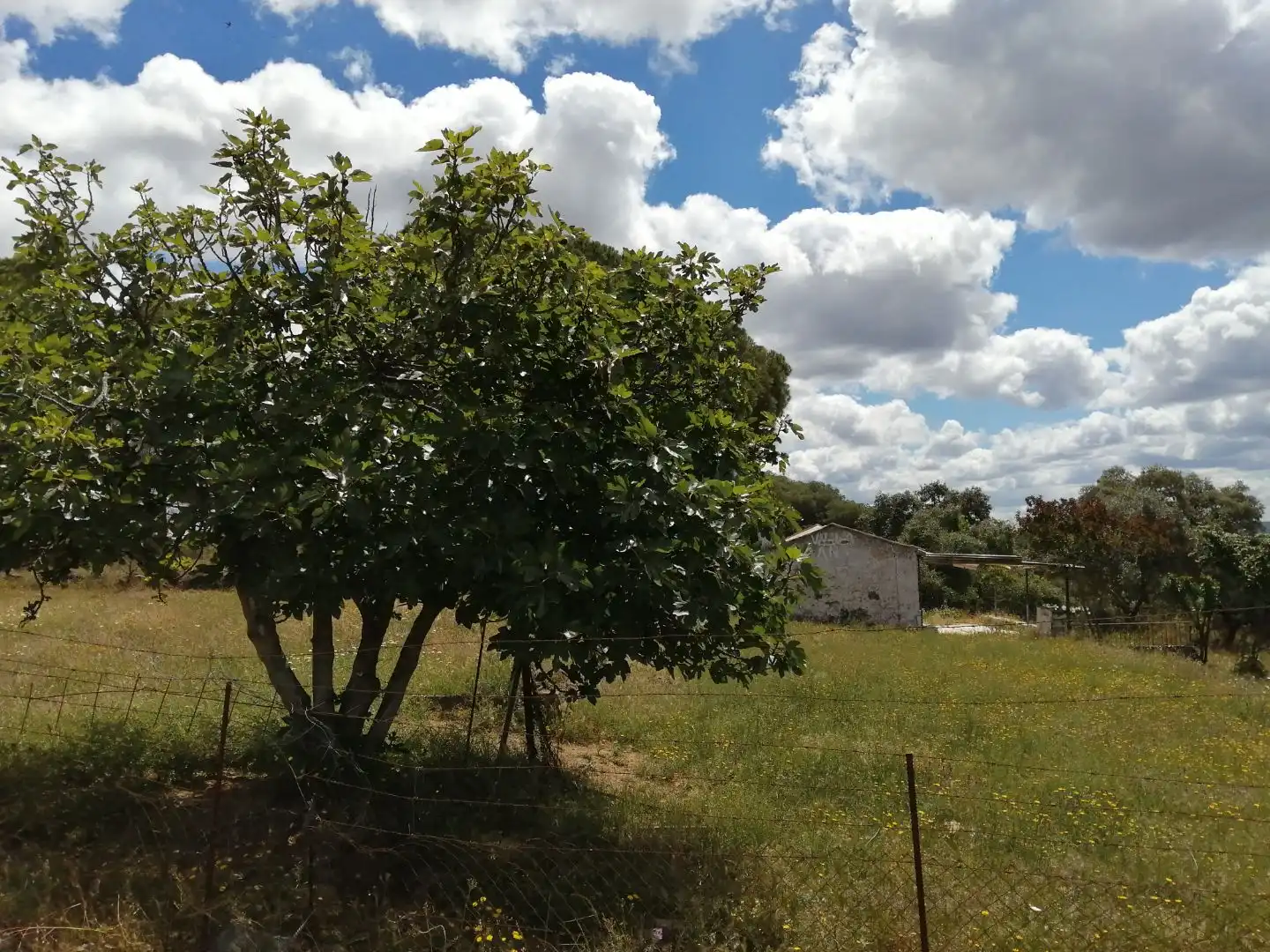 Grundstücke zum Verkauf in El Campillo (Huelva)