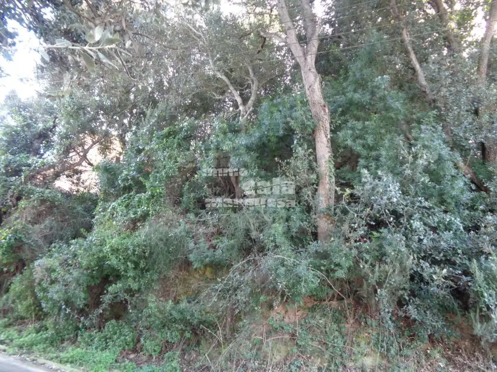 Terreny residencial en venda a Sa Riera - Sa Fontansa, imagen 4