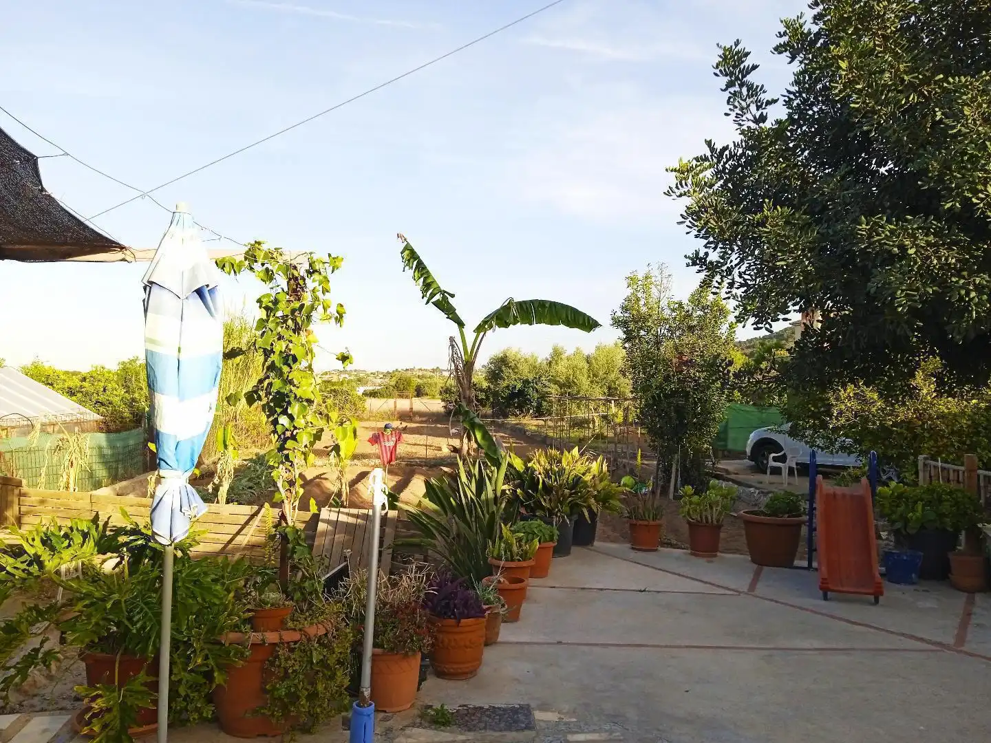 Jardí de Casa o xalet en venda en Vilamarxant amb Terrassa, Traster i Piscina