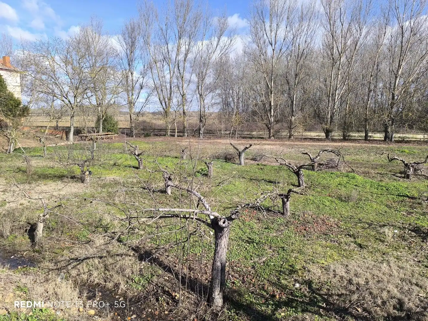 Residencial en venta en San Millán de los Caballeros