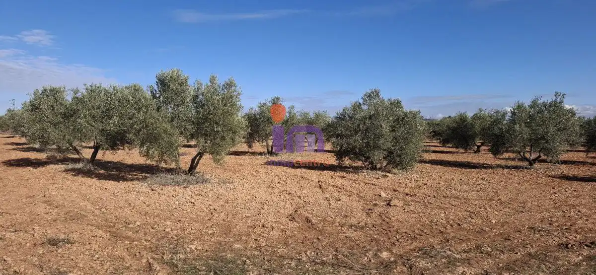 Casa rústica en venda a Valdepeñas, imagen 21