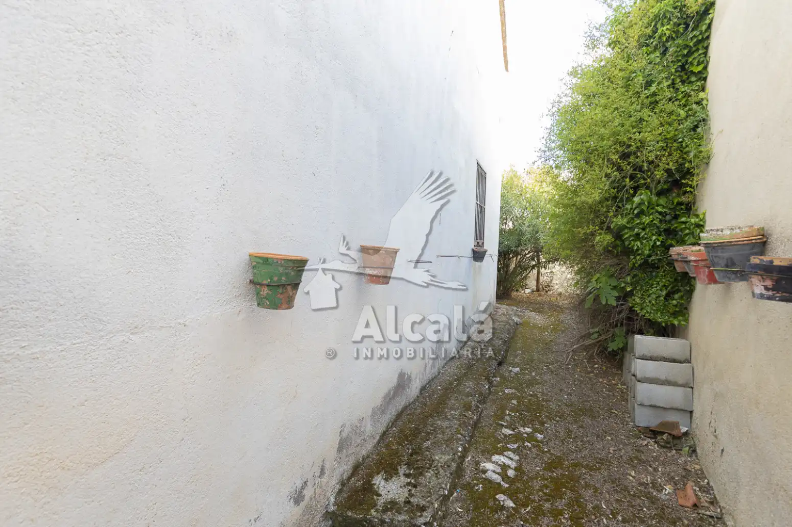 Exterior view of Residential for sale in Santorcaz