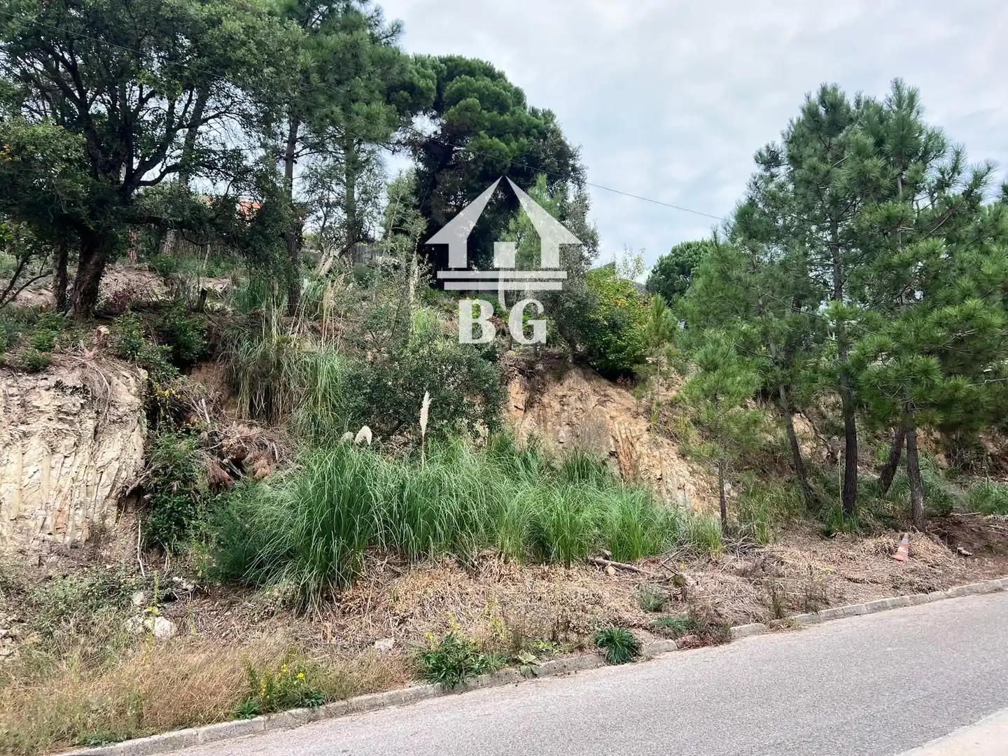 Terreno rústico en venta en Figuera, imagen 9