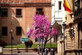 Vista exterior de Piso en venta en  Madrid Capital con Aire acondicionado y Balcón