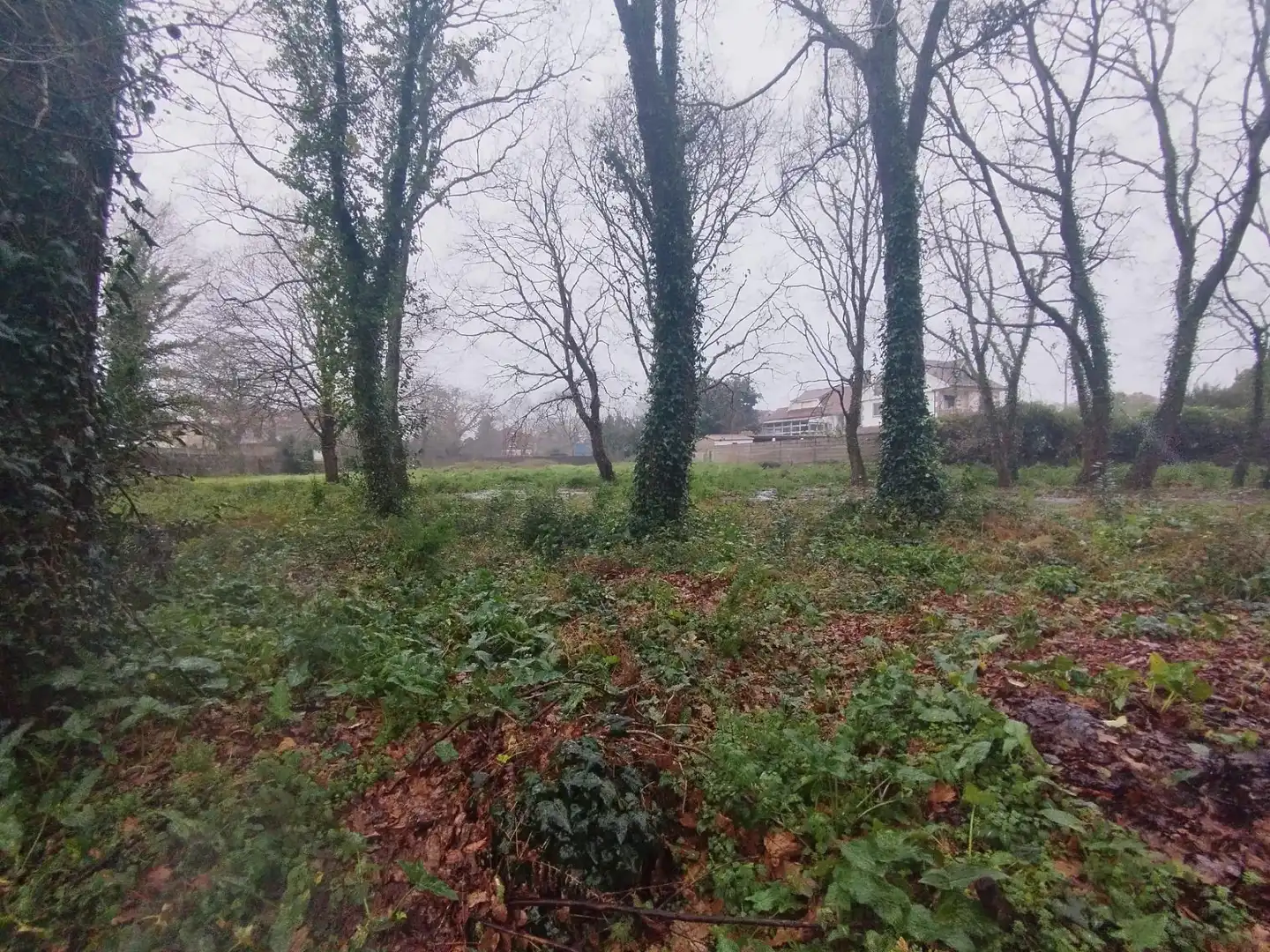 Terreno en venta en Tomiño
