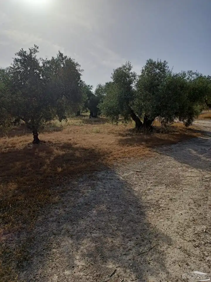 Terrain rustique à vendre à Paraje El Barrancón, Pol.101, Par.183, 66, imagen 6