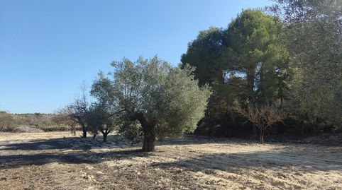 Photo 2 of Country homes for sale in Desamparados - Hurchillo - Torremendo, Orihuela