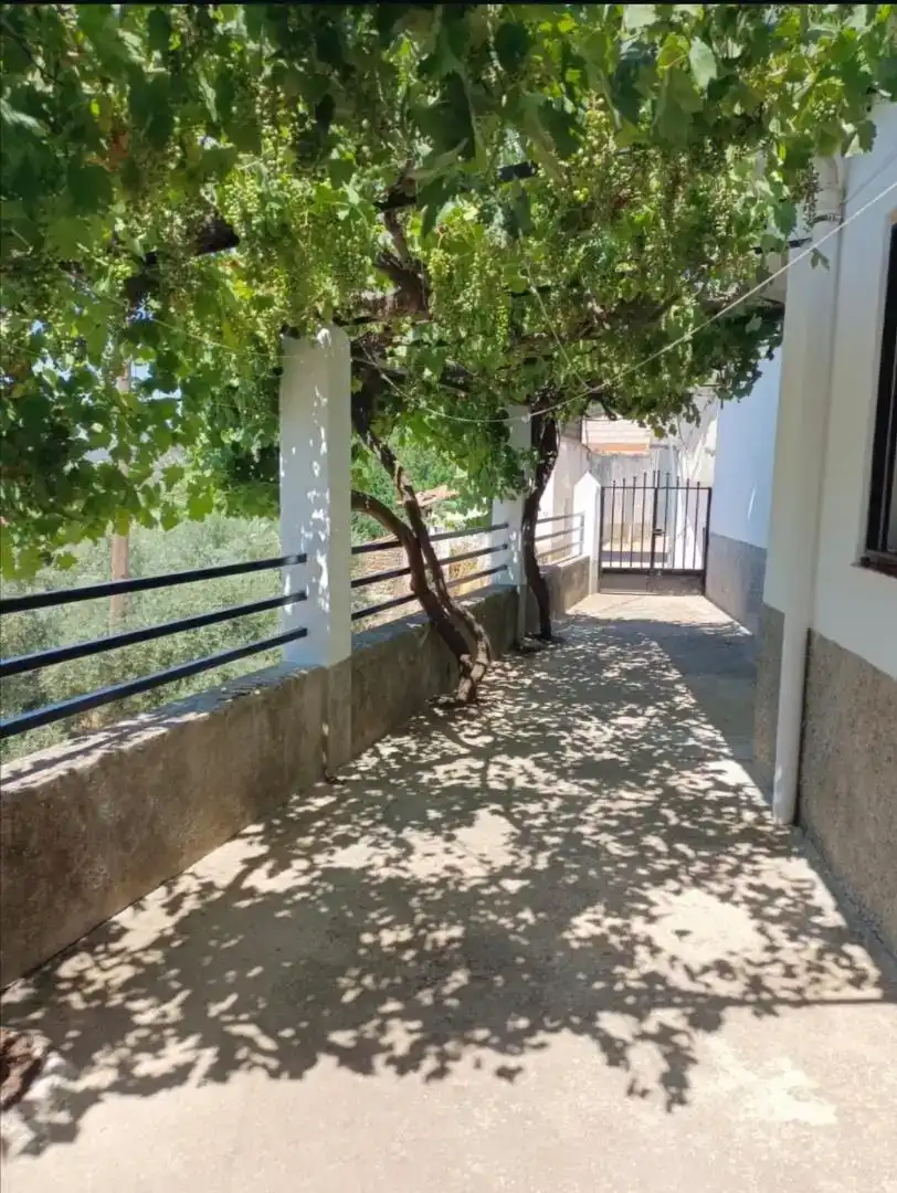 Terrassa de Planta baixa en venda en Villarrodrigo amb Moblat