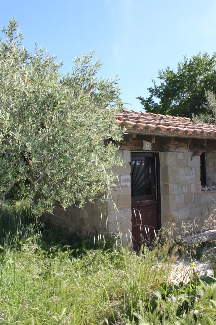 Vista exterior de Terreno en venta en Tafalla