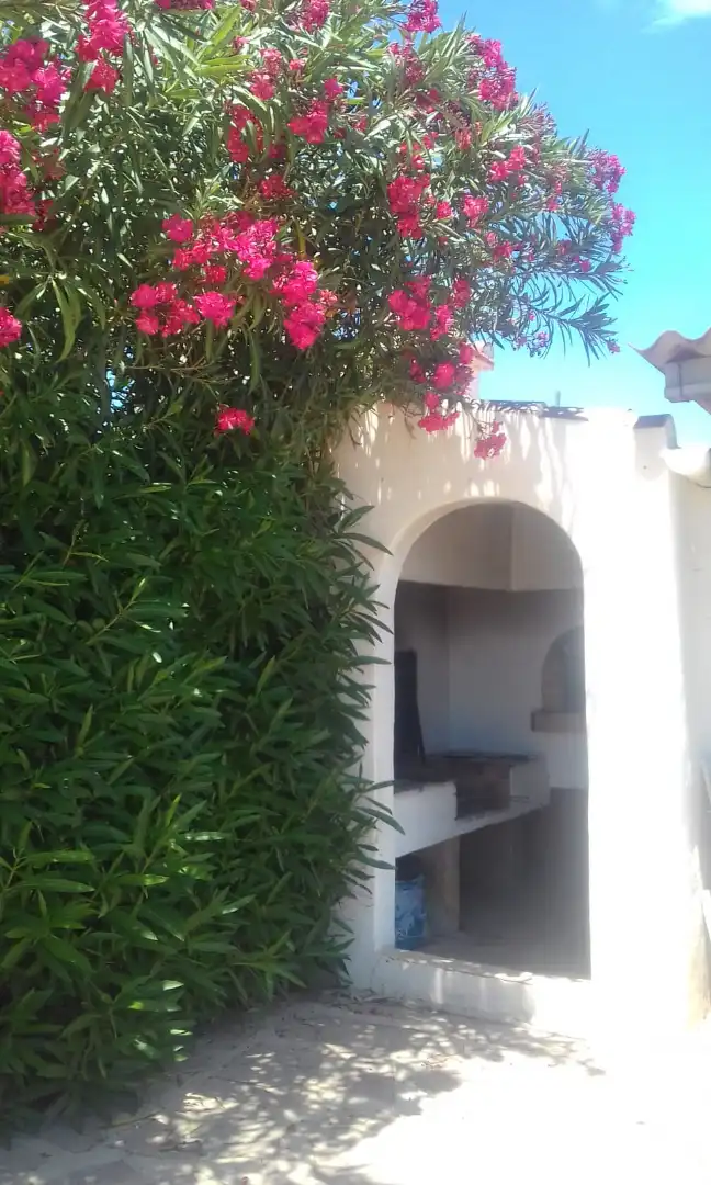 Villa avec jardin à vendre à Avinguda del Pla 127, imagen 14