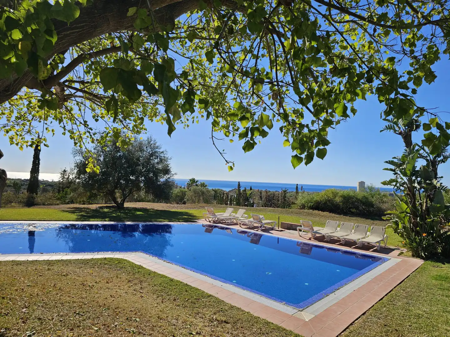 House with pool for sale in Elviria - Cabopino, imagen 2