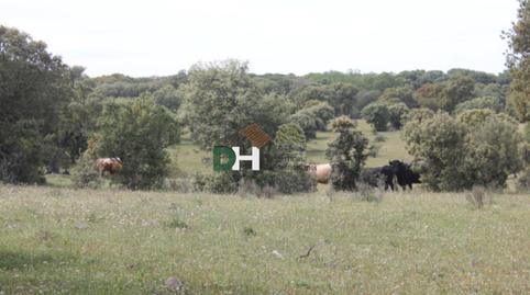 Photo 3 of Residential for sale in Universidad - Tenerías, Salamanca