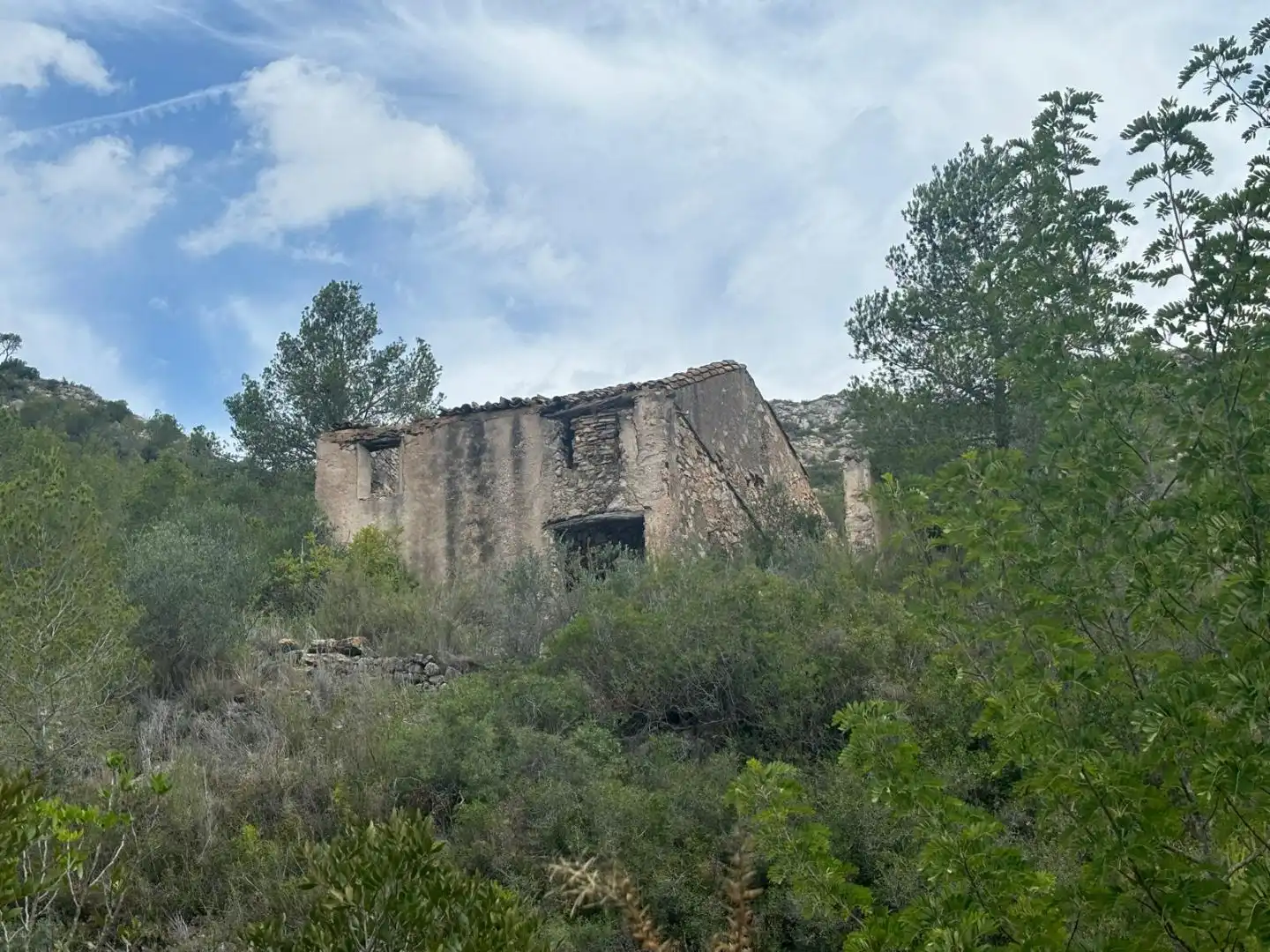 Vista exterior de Terreno en venta en Tivissa
