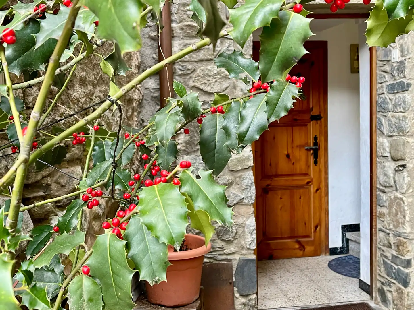 Vista exterior de Finca rústica en venta en Setcases con Calefacción, Amueblado y Horno