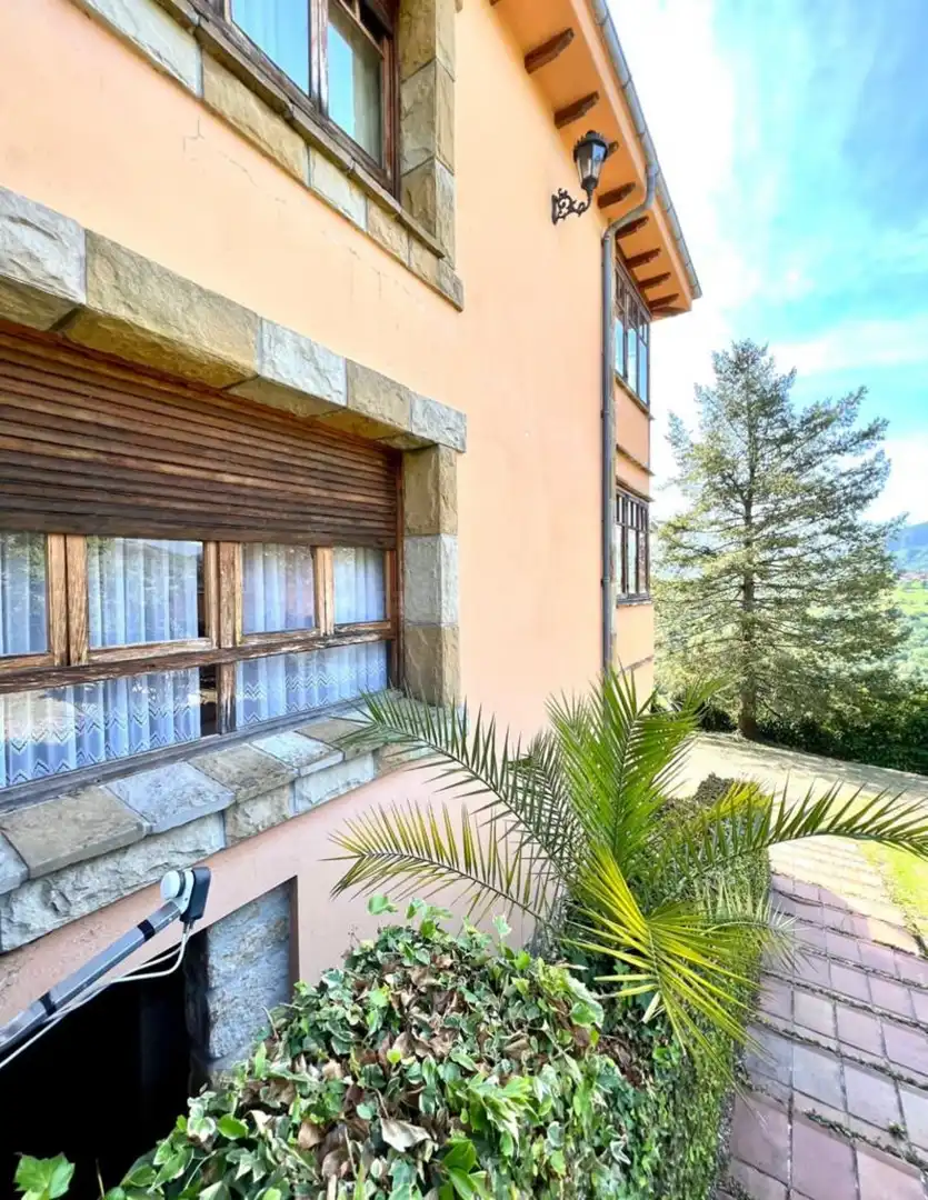 Vista exterior de Casa o chalet en venta en Piloña con Calefacción y Jardín privado