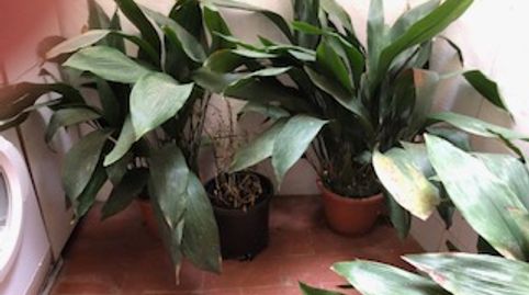 Foto 3 de Pis en venda a Carrer de la Mare de Déu Dels Angels, 74, La Teixonera, Barcelona Capital