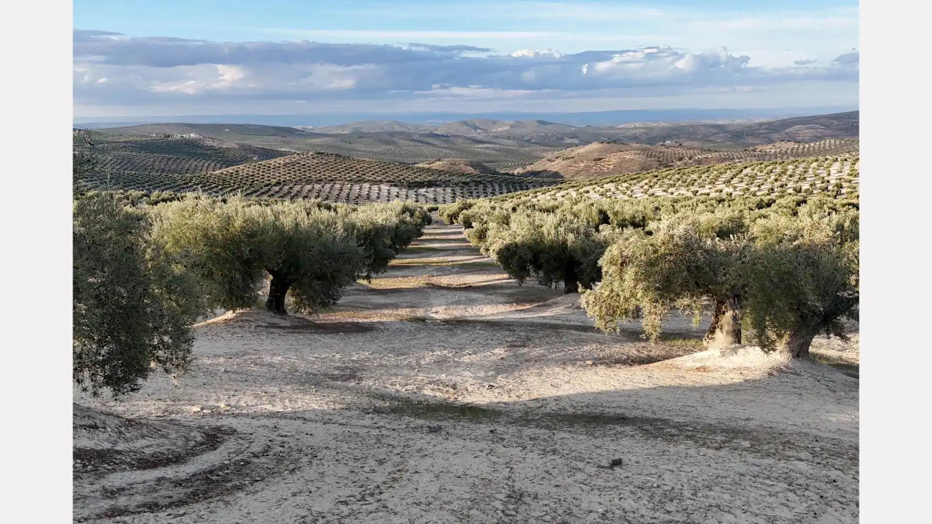 Vista exterior de Terreno en venta en Torredelcampo